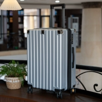 Серебро [модель с расширяемой двухслойной взрывозащищенной молнией] + расширение 20% + пожизненная гарантия