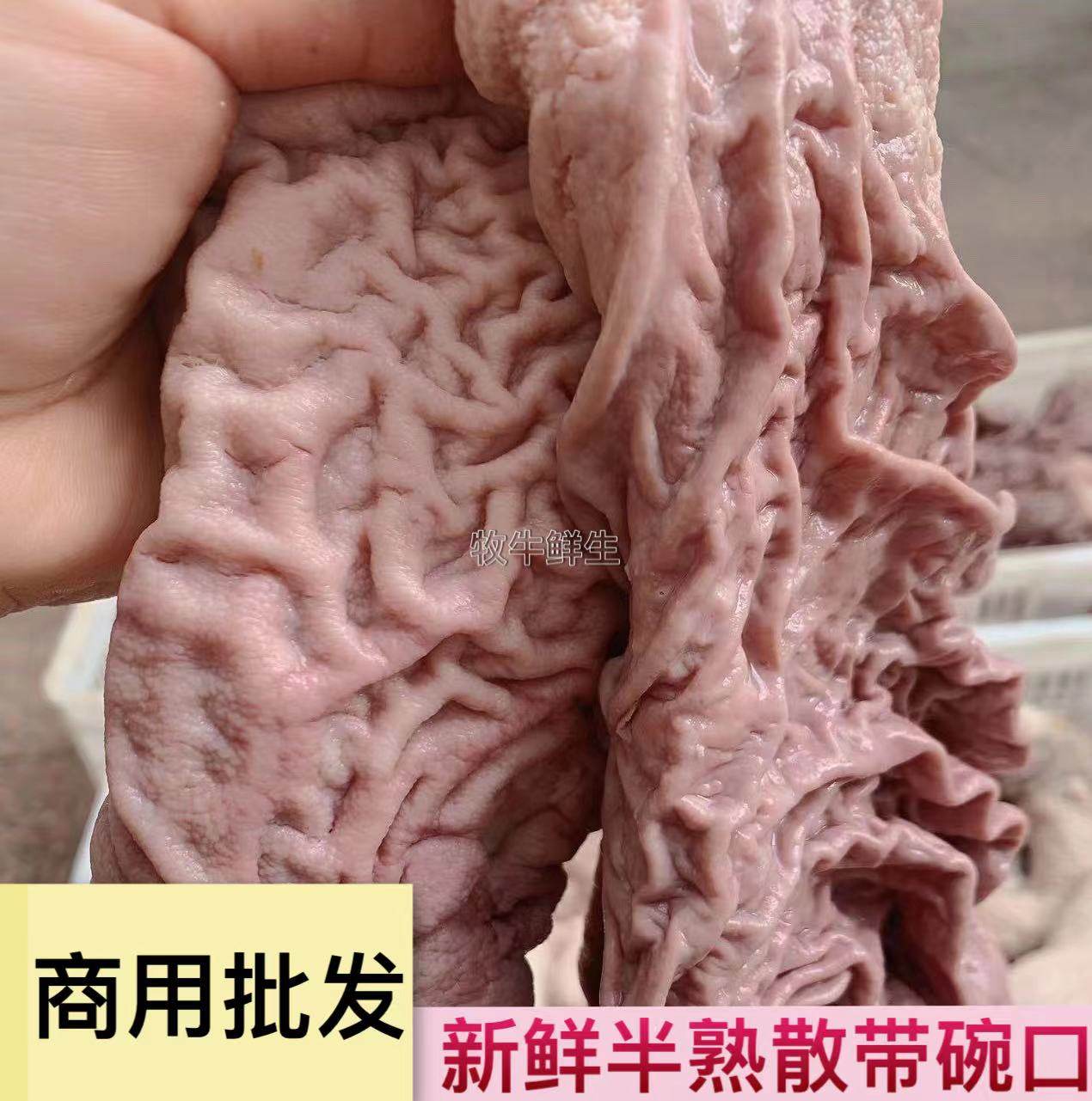 新鲜半熟牛散带牛伞肚牛小肚半成品牛杂商用1斤
