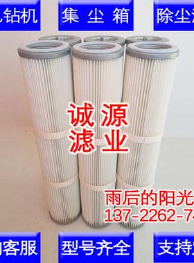 3214623900露天凿岩潜孔钻机 滤芯D50 D55 D7D9ROCL6钻机除尘滤筒