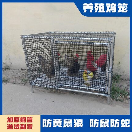 鸡笼家用养鸡笼大号养鸡棚鸡窝宠物笼家禽鸡笼子组装鸽舍养兔养鸭