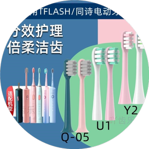 适配TFLASH同诗电动牙刷头T-Flash替换头Q-05成人美白替换刷头Y2