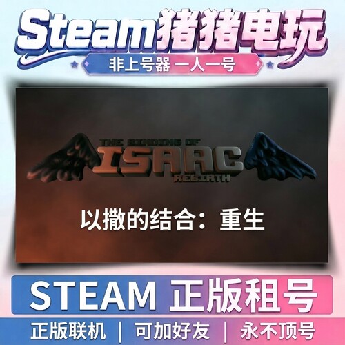 以撒的结合：重生 ISAAC Steam游戏 正版租号联机 不顶号永久租号