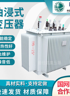 s11-m-250/10大功率油浸式变压器S13-M-315 400 500KVA油式变压器