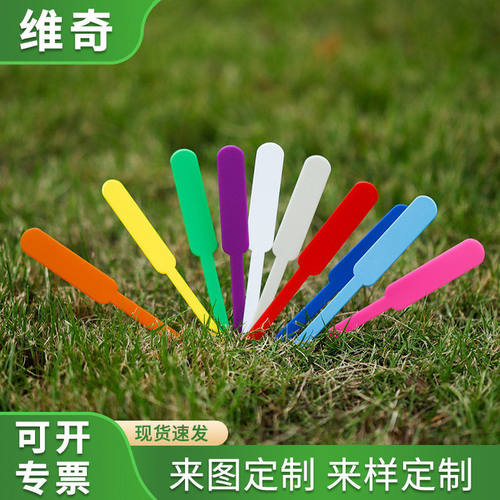 100张pp棒棒园艺标签加厚 多肉植物花卉标识牌防水防晒园艺插地牌