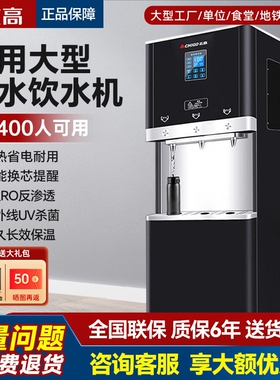 志高净水器商用直饮机大型加热一