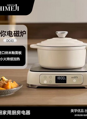 倾厨藏线电磁炉复古迷你家用小型