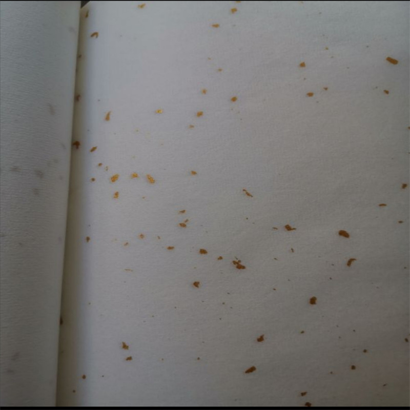 花草宣纸 小楷作品古风小清新宣纸信纸硬笔宣纸书法专用纸半生熟,文具电教/文化用品/商务用品,宣纸,淘宝优惠券,粉丝福利购,淘宝优惠卷