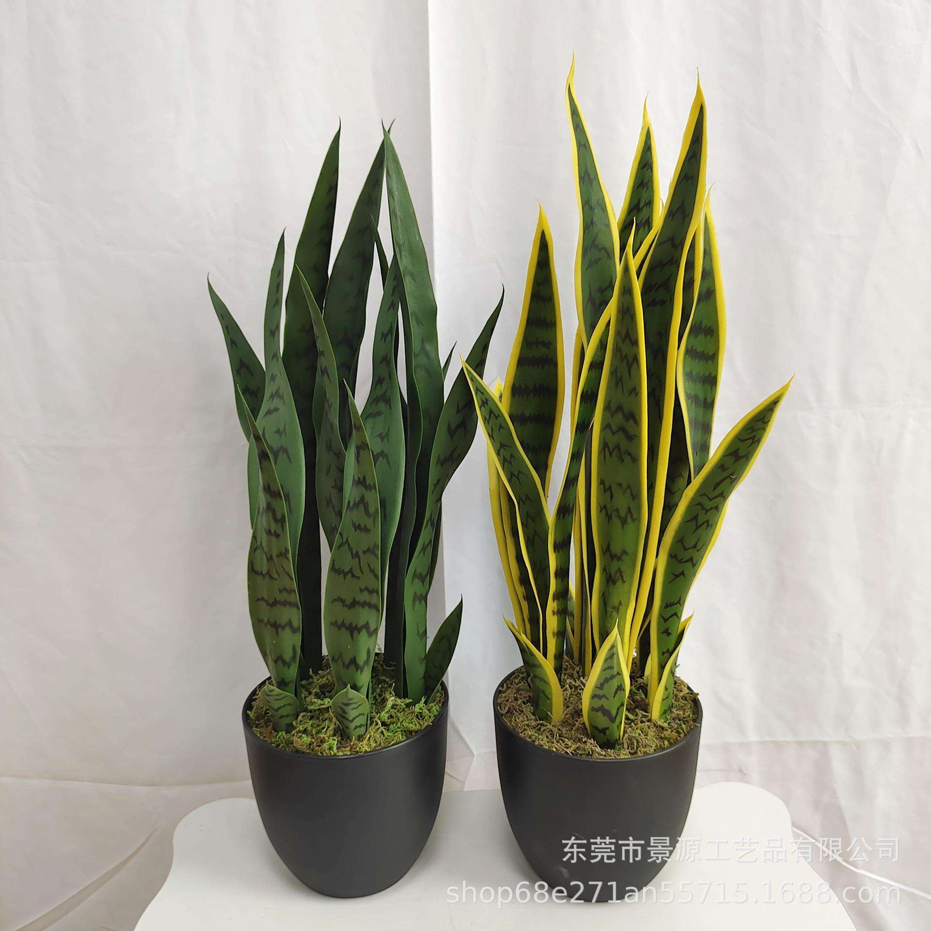 虎纹兰盆栽芦荟盆景家居办公室摆件橱窗造景绿植假花仿真绿植摆件