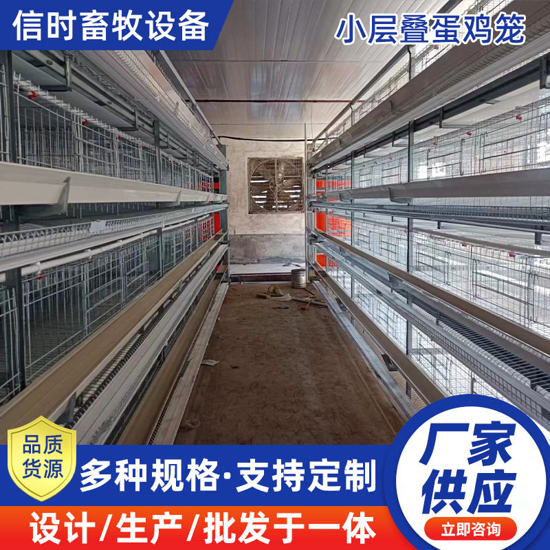 蛋鸡笼捡蛋机h型鸡笼层叠自动化蛋鸡养殖设备固定式升降式捡蛋机