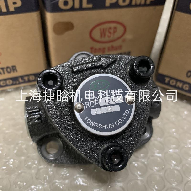 油泵电机组ROP-12AM-12V-100W电动抽油泵直流电机驱动摆线泵