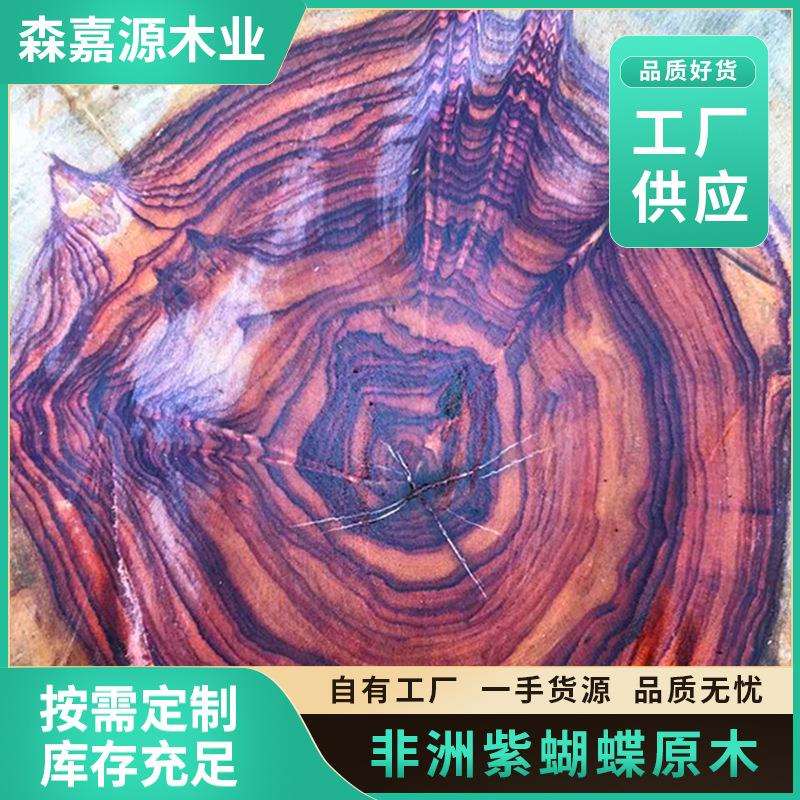 现货非洲黄花梨原木紫蝴蝶原木零售