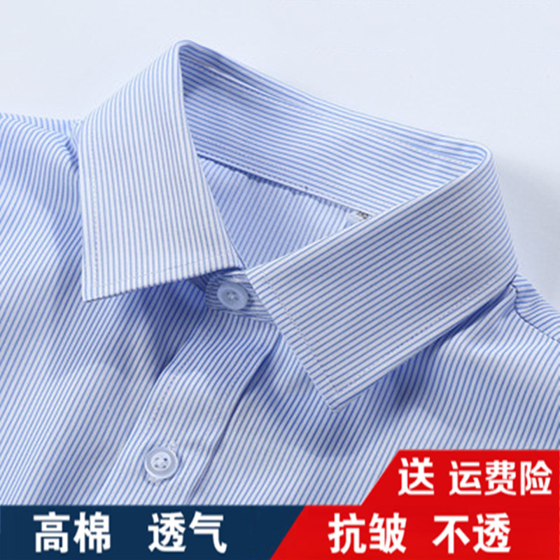 女士白底蓝色条纹长袖衬