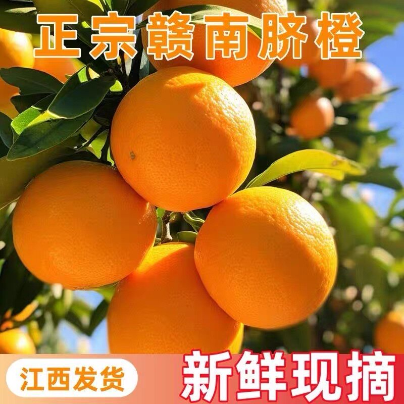 正宗江西赣南脐橙新鲜橙子当季水果赣州甜橙产地果园直发整箱包邮,水产肉类/新鲜蔬果/熟食,橙,淘宝优惠券,粉丝福利购,淘宝优惠卷