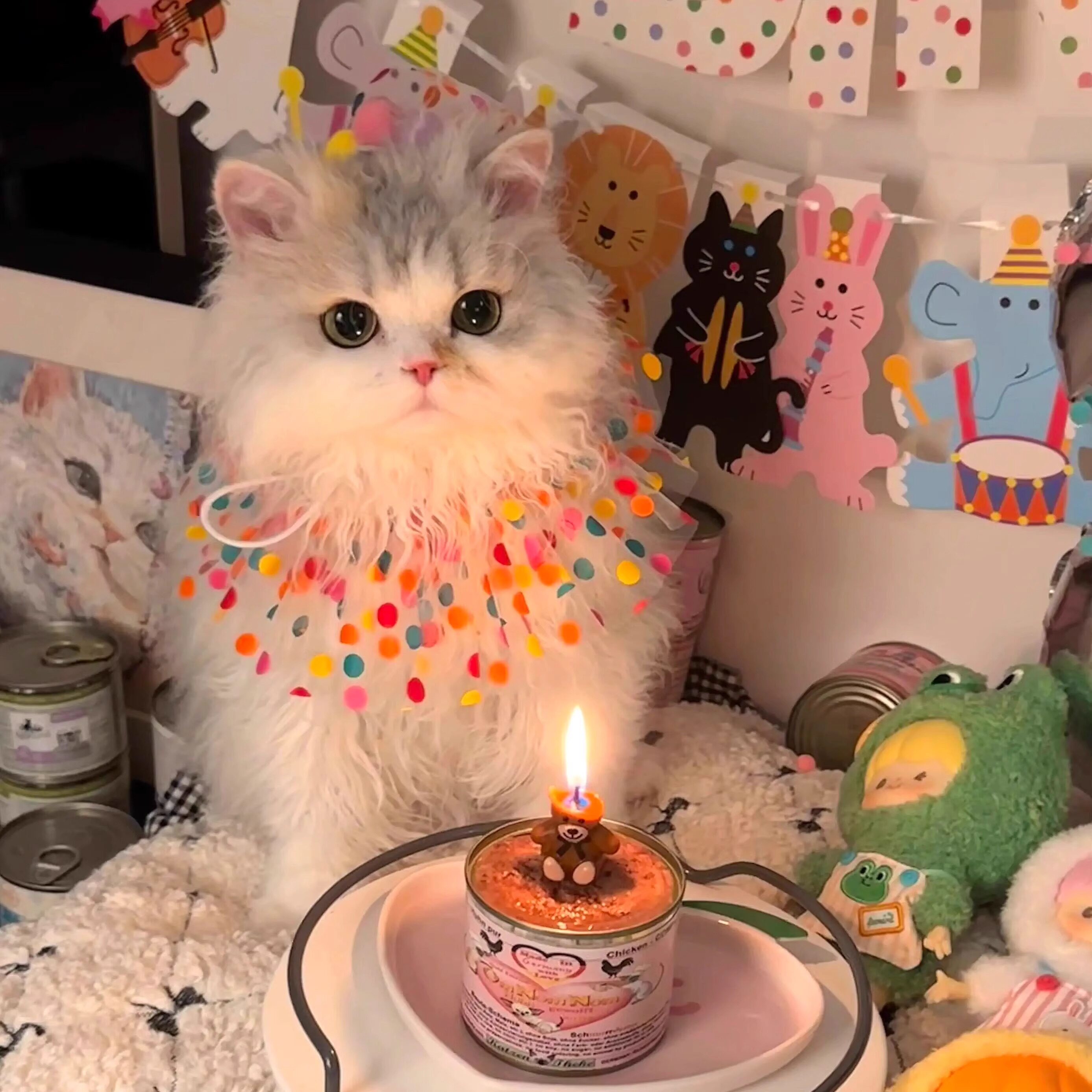 宠物生日装饰围兜帽子猫咪派对狗狗装饰品围嘴帽子可爱拍照布置