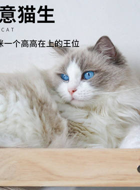 跨境新款透气四季通用防潮猫窝爬架可拆洗猫吊窝猫咪木头两用吊床