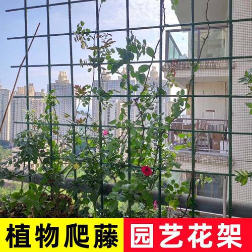 花架爬藤架花园包塑杆园艺植物月季铁线莲风车茉莉爬藤户外支撑架
