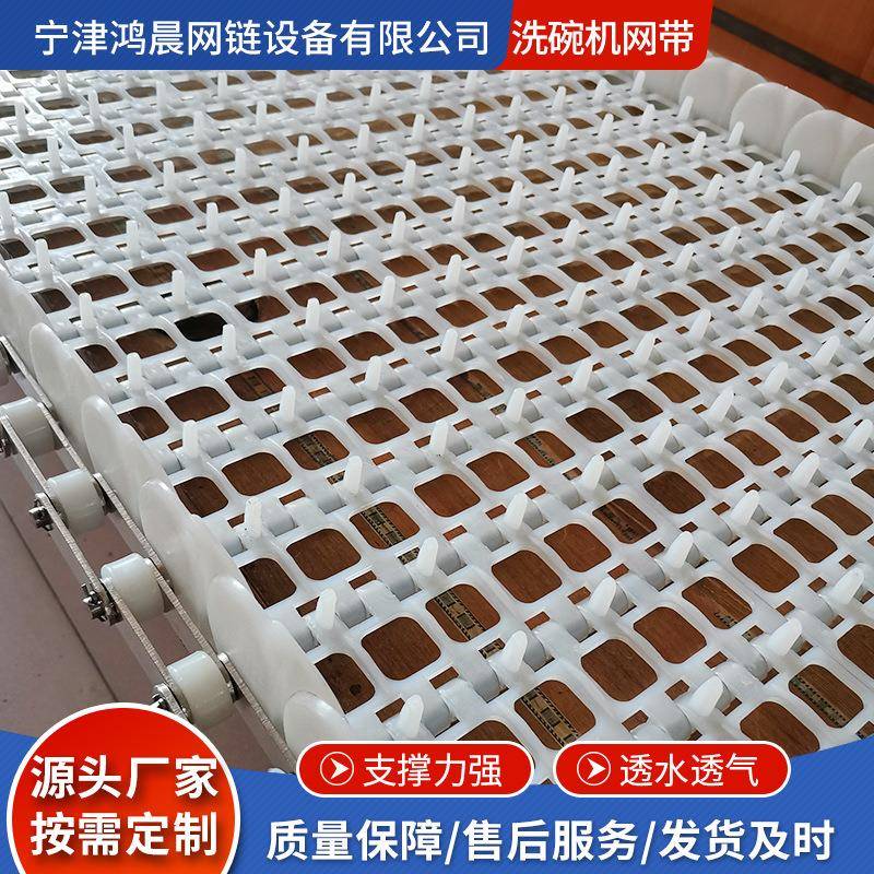 塑料网链厂家立齿洗碗机用清洗传动链耐高温非标塑料输送网带