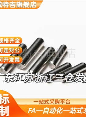 替定位销BLW82-h7-D2 D3p D4 D5 D6 D8-L6 L8 L10 L12 L15 L20 L3