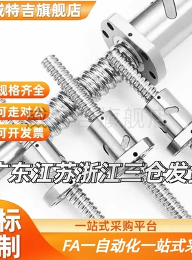 替代滚珠丝杆BSSC2005 2010 BSSCK BSSE1505 1510 1520-150