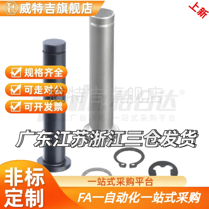 卡簧销不锈钢MIC11-D3/MIC11-D4/L10/20/30/40/50/55带肩铰链销