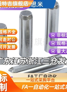 MSTP12-20/30/35/40/50带螺孔定位销/盘起销钉 圆柱销MSTP13/16