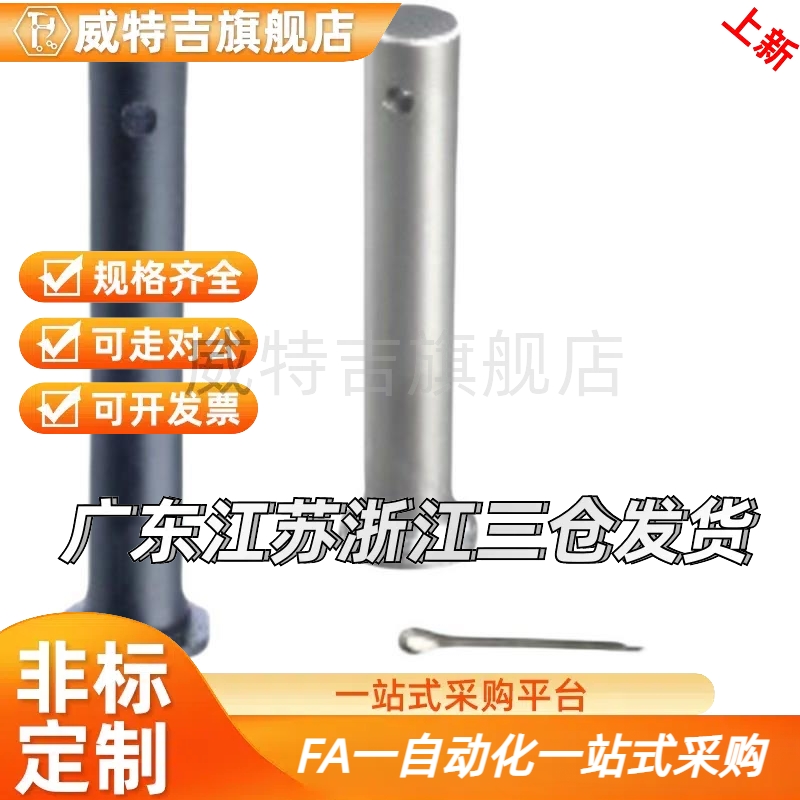 代带肩扣环 GHCLGN GSHCLGHN HCLGHN HCLGN 固定型铰链销