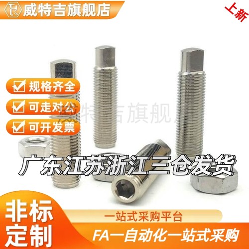 调整螺钉组件PAS31/36-M4/M5/M6/M8/M10/M12-L15/L20/L25/PAS21