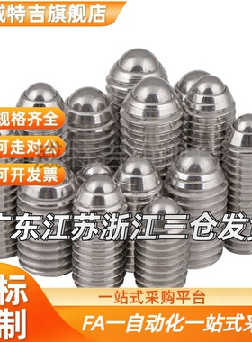 球头柱塞  BSJL3/4/5/6/8/10/12/16