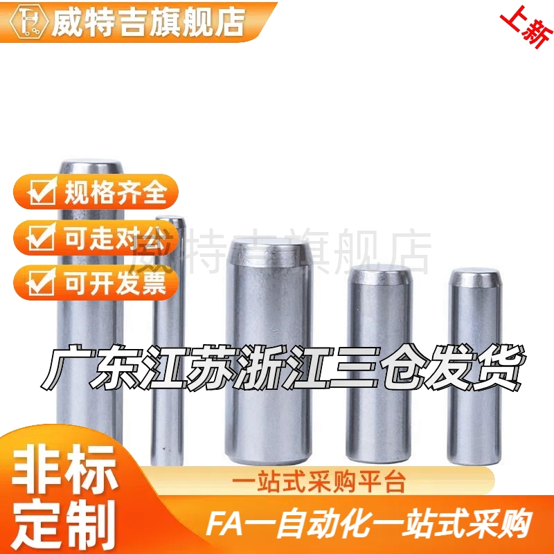 内螺纹圆柱销 检具销钉 MSTM定位销 带F透气孔合销 ISO8735攻牙销