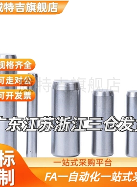 内螺纹圆柱销 检具销钉 MSTM定位销 带F透气孔合销 ISO8735攻牙销