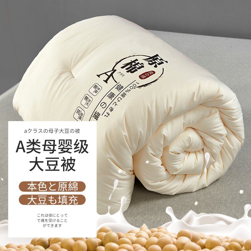 2025秋冬新款母婴级A类加厚大豆纤维被芯日式全棉保暖被