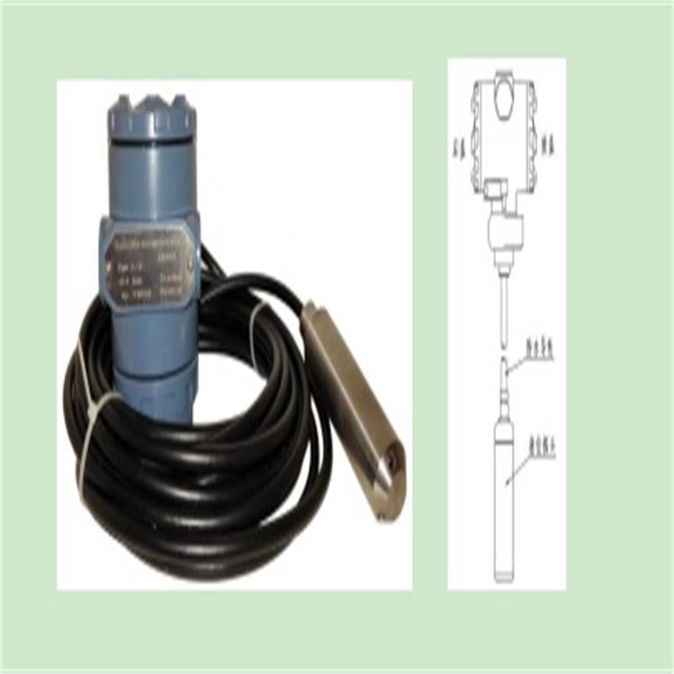 北京投入式压力水位计型号:LS100-YP-P10库号：M39139