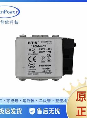 低压熔芯170M4183170M4184170M4459170M5885快速熔断器