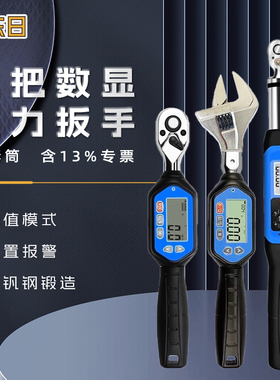 东日数显扭力扳手迷你短把小工位数显扭矩力矩扳手高精度预置可调
