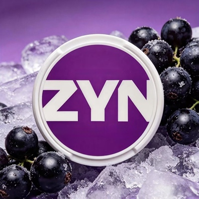 ZYN口味含袋平替开车犯困提神snus正品提神风味袋飞机高铁可带