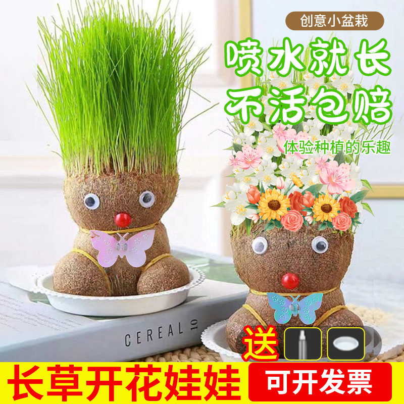 【稳定签到】送喷壶+底托+草头娃娃绿植盆栽