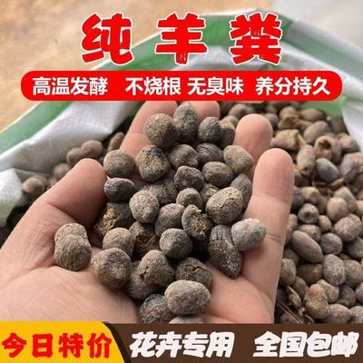 羊粪发酵有机肥干羊粪蛋