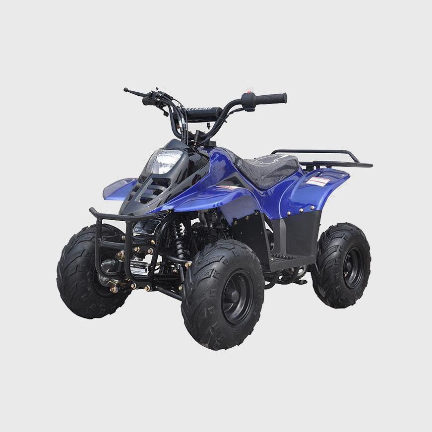 125CC小恐龙沙滩车500W800W电动沙滩车ATV四轮越野摩托车