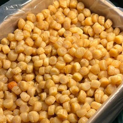 贝【首单直降】大连元贝瑶柱煲汤海淡鲜干货干渔民PNE扇晒海产品