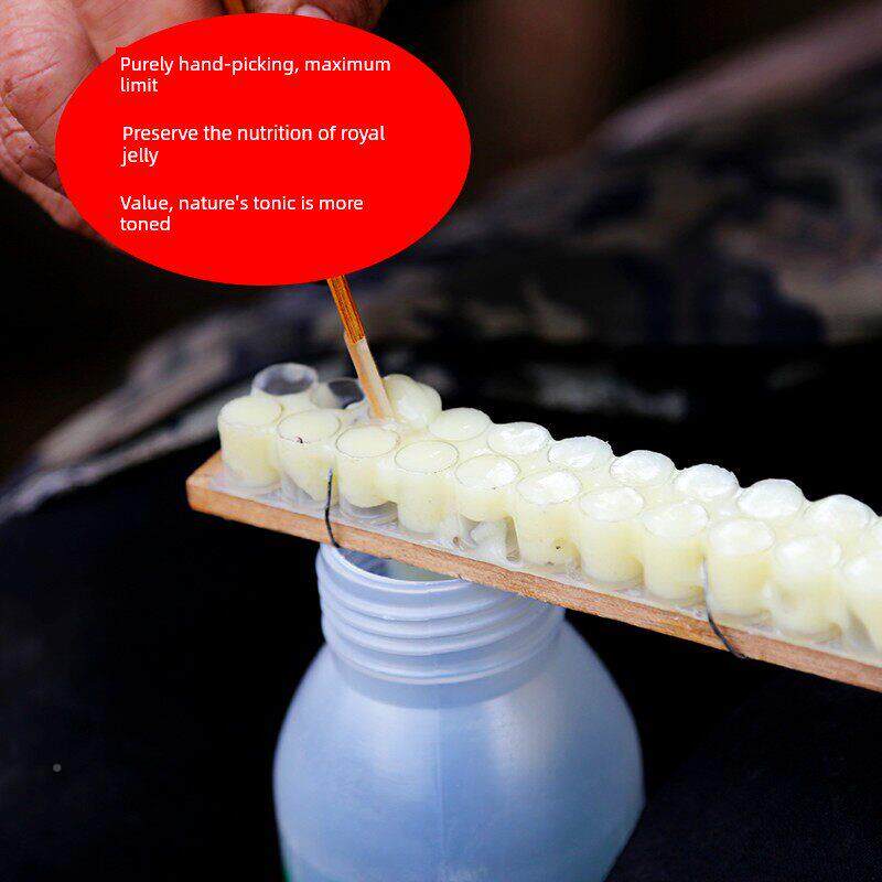 活性蜂KOM王浆自纯天然野蜂生鲜2023新蜂王浆产正宗黑峰王浆500g