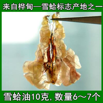 雪蛤油6年蛙白ZRF山长蛙油蛤蟆油干货新鲜10礼盒联体g雪哈膏林炖