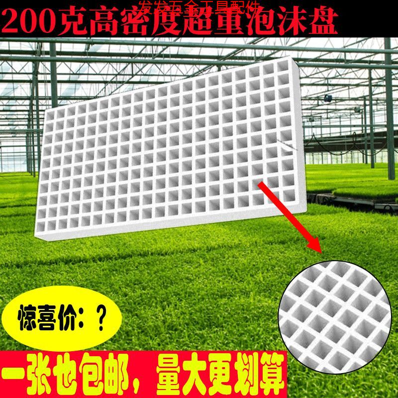 漂浮水上泡沫板加厚白色泡沫育苗盘蔬菜水培辣椒玉米种子专用盘