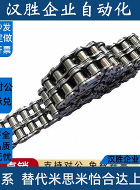 CHE15/CHES25/35/40/50/60/100/80-U替 CHEEC链条CHEED120/CHEH11