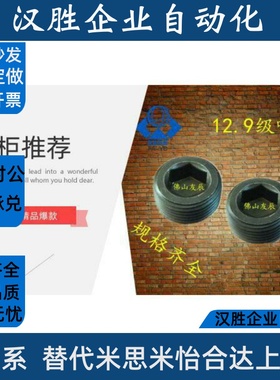 锥形沉头螺塞/喉塞螺丝/闷头螺丝 MSWT-J/1/2/3/4/5/6/8 MSWTK