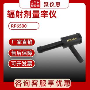 辐射剂量率仪RP6500 X-γ辐射剂量率仪 便携式辐射检测仪