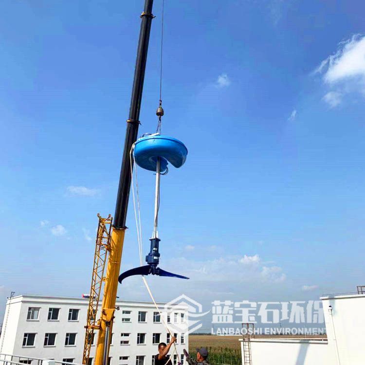 浮筒式潜水推流器 不用排水清池LHJ立式中心环流搅拌机带水安装