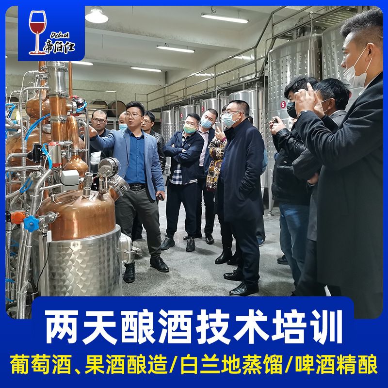 酿酒技术培训包含葡萄酒果酒精酿啤酒及酵母酿酒辅料使用帝伯仕