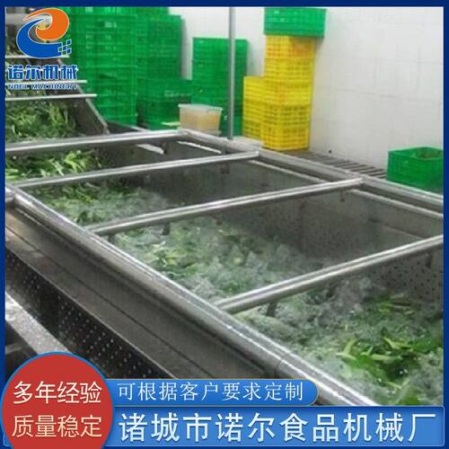 供应荠菜清洗机设备 不锈钢果蔬清洗机 雪梨清洗机设备 可定制