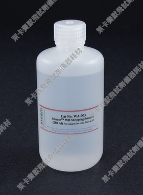 Minute™WB膜再生液WA-003快速剥离化学发光底物检测转印膜中抗体