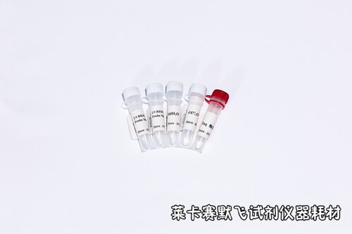 BIOGᴴˢᒼ Super Probe Kit,BIOGᴴˢᒼ探针法荧光定量PCR试剂盒